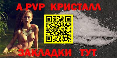 меф Кингисепп