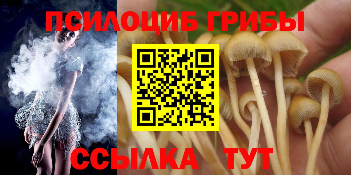 Галлюциногенные грибы Psilocybe  Вход с VPN  Шарыпово  Псилоцибиновые грибы мицелий 