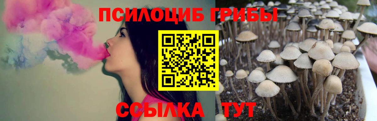 Псилоцибиновые грибы мухоморы Шарыпово